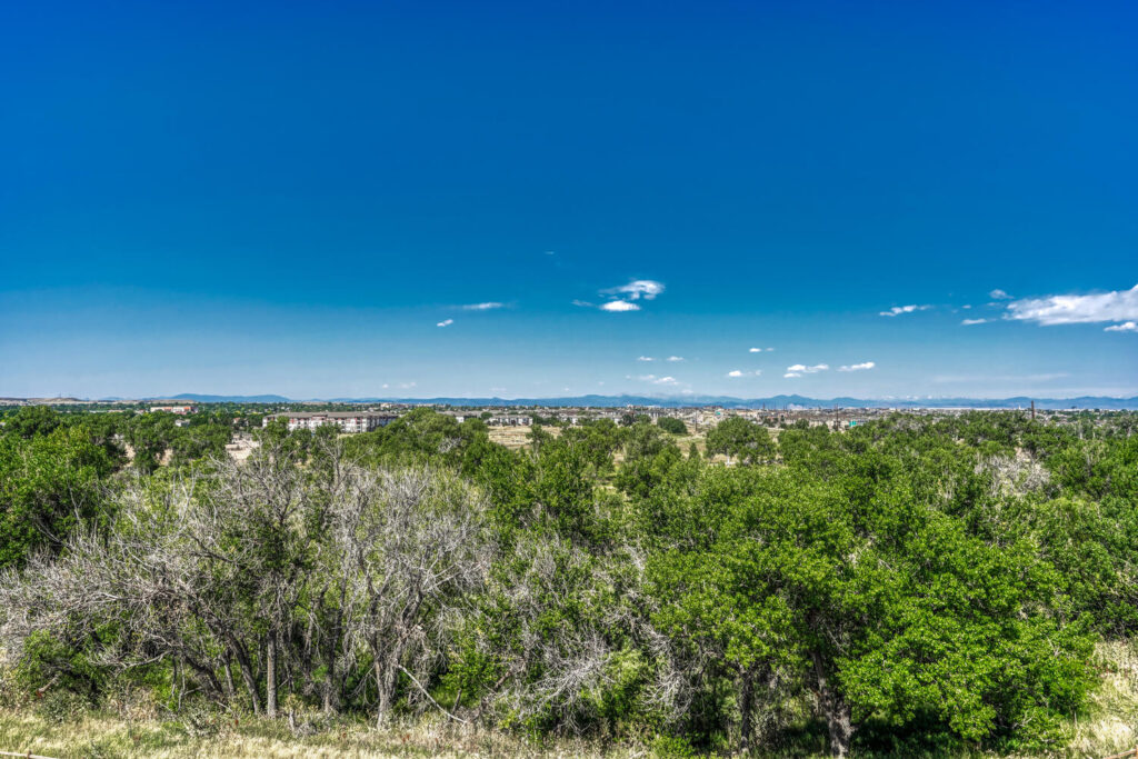 mountain view from luxury condo in denver