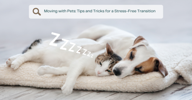 cover photo for a blog on moving with pets has a dog and cat taking a nap together